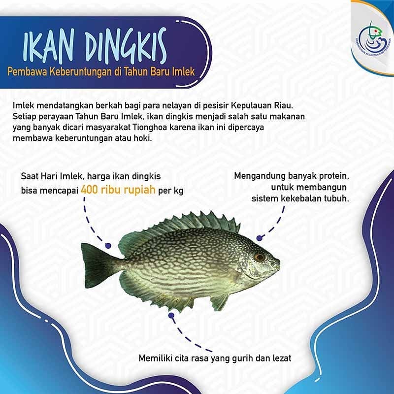 Ikan Dingkis, Pembawa Keberuntungan di Tahun Baru Imlek